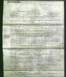 Court of Common Pleas - Dinah Lamb-Original Ancestry
