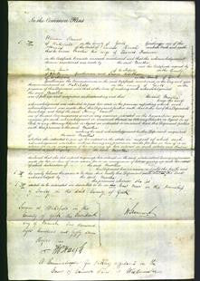 Court of Common Pleas - Martha Freeman-Original Ancestry