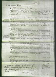 Court of Common Pleas - Sarah Goldsmith-Original Ancestry