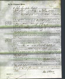Court of Common Pleas - Elizabeth Scofield-Original Ancestry