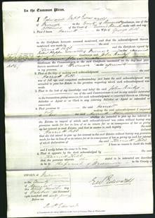 Court of Common Pleas - Harriett Hill-Original Ancestry