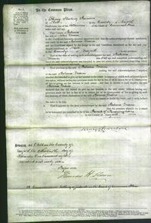 Court of Common Pleas - Rebecca Maris-Original Ancestry