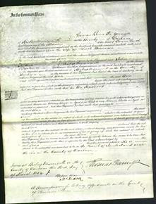 Court of Common Pleas - Ann Bowman-Original Ancestry