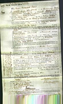 Court of Common Pleas - Mary Ann Cottrell-Original Ancestry