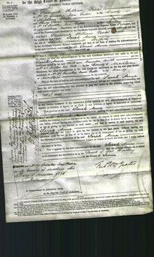 Court of Common Pleas - Sarah Anna Griffith-Original Ancestry