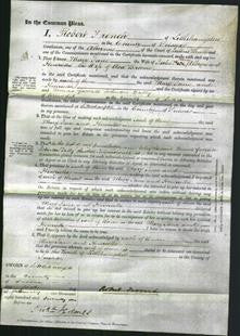 Court of Common Pleas - Mary Jane Albiges and Henrietta Broome-Original Ancestry