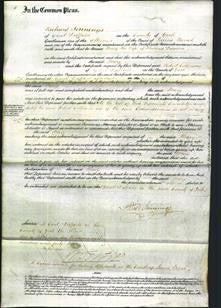 Court of Common Pleas - Mary Dawson-Original Ancestry