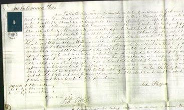 Court of Common Pleas - Sarah Williams-Original Ancestry