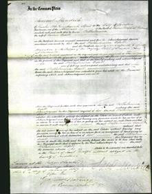 Court of Common Pleas - Wilhelmina Edell-Original Ancestry