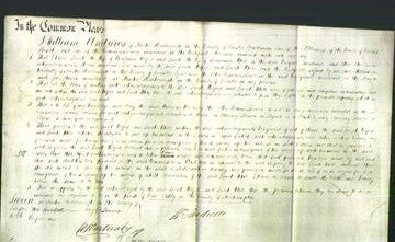 Court of Common Pleas - Sarah Wilford and Sarah White-Original Ancestry