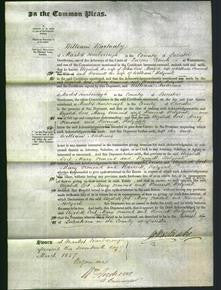 Court of Common Pleas - Elizabeth Cort, Mary Ormond and Harriett Holyoak-Original Ancestry