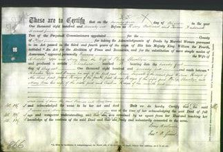 Deed by Married Women - Frances Epps and Mary Ann Llewellyn-Original Ancestry