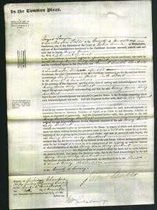 Court of Common Pleas - Mary Anne Carteret-Original Ancestry