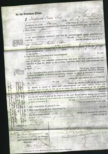 Court of Common Pleas - Jane Blakeman-Original Ancestry