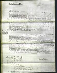 Court of Common Pleas - Mary Ann Broad and Amelia Kearton-Original Ancestry