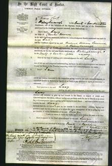 Court of Common Pleas - Lucy Brown-Original Ancestry