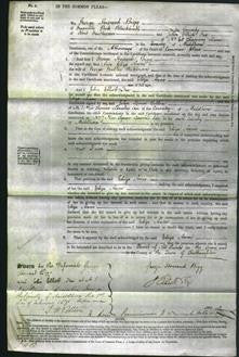 Court of Common Pleas - Eliza Anne Wilkinson-Original Ancestry