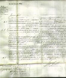 Court of Common Pleas - Ellen Smith-Original Ancestry