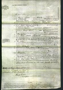 Court of Common Pleas - Rose Anne Sheraton-Original Ancestry