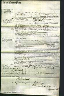 Court of Common Pleas - Margaret Betham-Original Ancestry