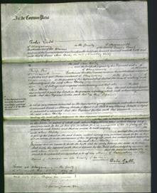 Court of Common Pleas - Ann Moore Bailey-Original Ancestry