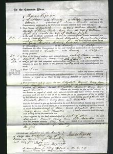 Court of Common Pleas - Elizabeth Smith, Harriett Poole, Mary Ann Taylor, Martha Jaeger-Original Ancestry