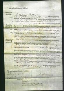 Court of Common Pleas - Eliza Weddall-Original Ancestry