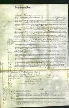 Court of Common Pleas - Ann Johnson-Original Ancestry