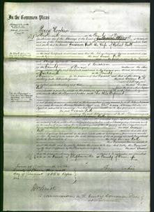 Court of Common Pleas - Susan Putt-Original Ancestry