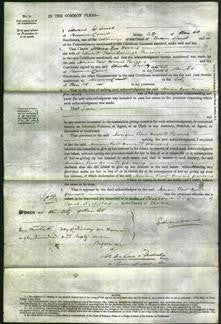 Court of Common Pleas - Miriam Row Howard Parsons-Original Ancestry