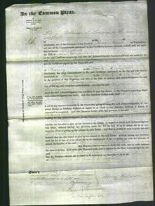 Court of Common Pleas - Elizabeth Felmingham-Original Ancestry