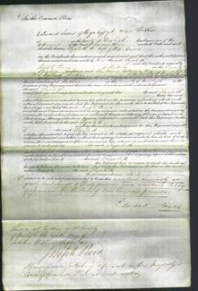 Court of Common Pleas - Elizabeth Davies-Original Ancestry