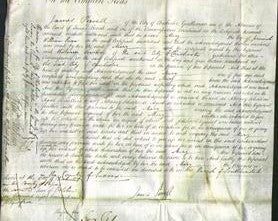 Court of Common Pleas - Mary Swan-Original Ancestry