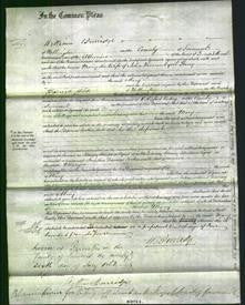 Court of Common Pleas - Mary Stacey-Original Ancestry