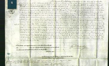 Court of Common Pleas - Amelia Kidd and Harriet Baker-Original Ancestry