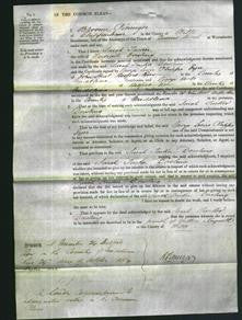 Court of Common Pleas - Sarah Tucker Dowling-Original Ancestry