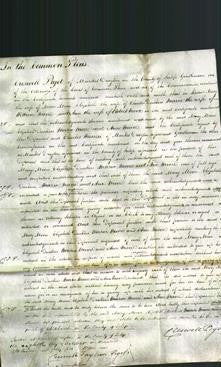 Court of Common Pleas - Mary Moore, Elizabeth Duckers, Maria Moore and Ann Moore-Original Ancestry