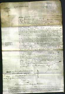 Court of Common Pleas - Mary Ann Cornish-Original Ancestry