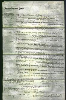 Court of Common Pleas - Elizabeth Davey-Original Ancestry