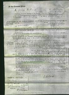 Court of Common Pleas - Mary Ann Lang-Original Ancestry