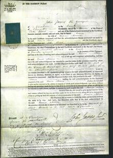 Court of Common Pleas - Eunice Adams-Original Ancestry