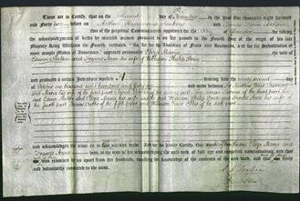 Deed by Married Women - Eliza Maria Shelton and Frances Anne Price-Original Ancestry