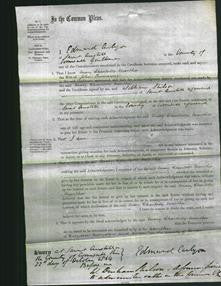 Court of Common Pleas - Mary Charlotte Martha Tremayne-Original Ancestry