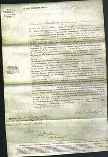 Court of Common Pleas- Mary Agnes Fryer-Original Ancestry