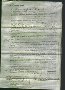 Court of Common Pleas - Elizabeth MacGregor-Original Ancestry