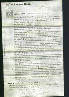 Court of Common Pleas - Charlotte Thompson-Original Ancestry