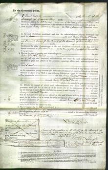 Court of Common Pleas - Mary Elizabeth Davies-Original Ancestry