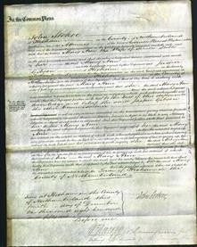 Court of Common Pleas - Mary Ann Stobbs-Original Ancestry