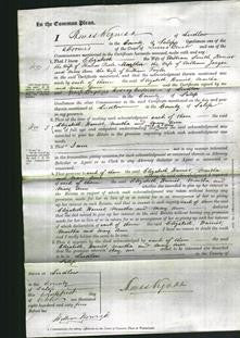 Court of Common Pleas - Elizabeth Smith, Harriett Poole, Martha Jaeger, Mary Ann Taylor-Original Ancestry