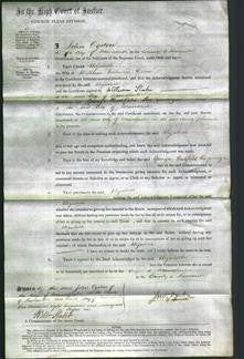 Court of Common Pleas - Elizabeth Green-Original Ancestry